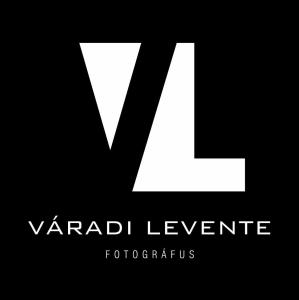 Váradi Levente Moodle